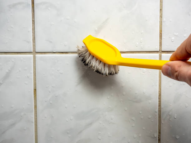 Best Commercial Mold Remediation in Rexland Acres, CA